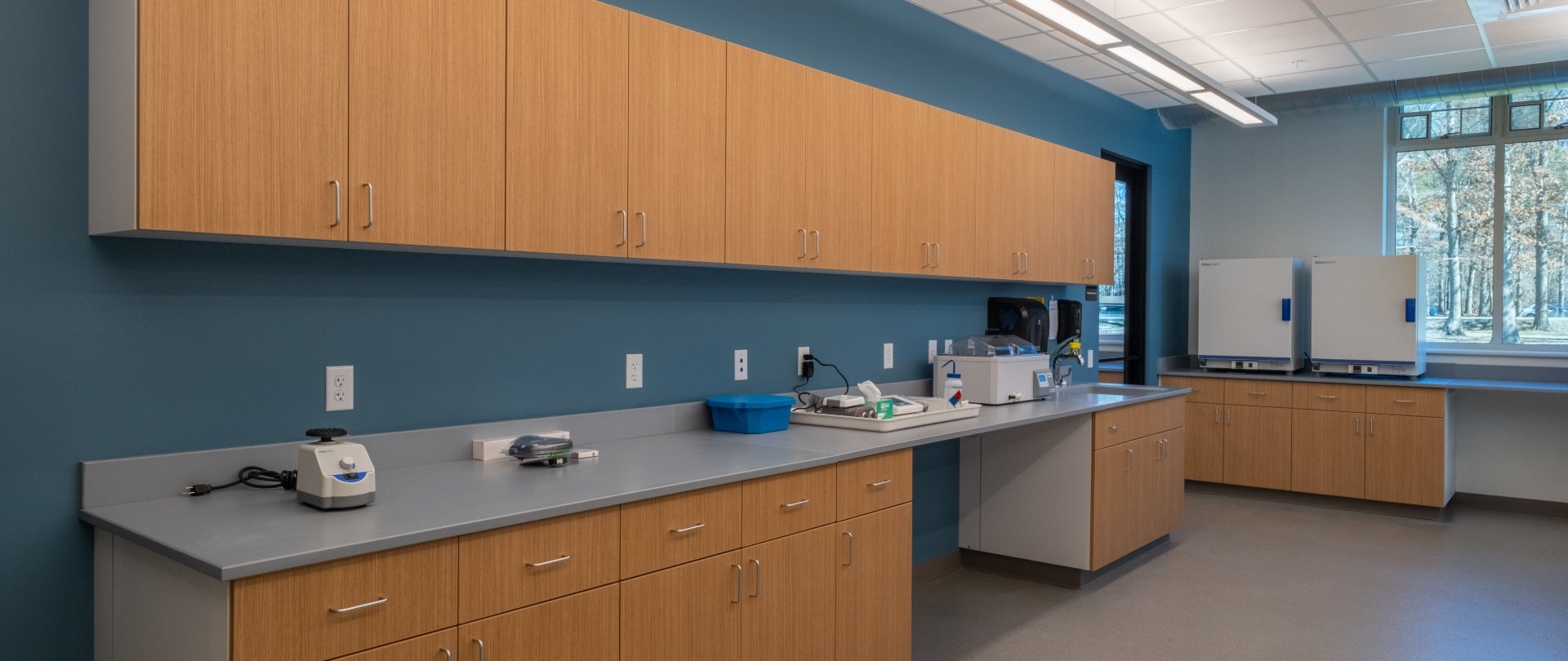 lab counters and cabinets